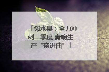 邻水县：全力冲刺二季度 奏响生产“奋进曲”