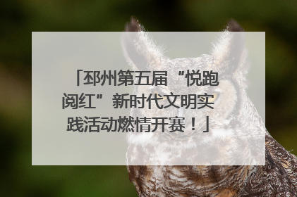 邳州第五届“悦跑阅红”新时代文明实践活动燃情开赛！