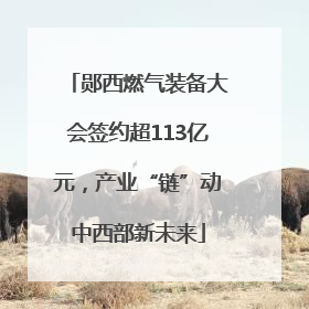 郧西燃气装备大会签约超113亿元，产业“链”动中西部新未来