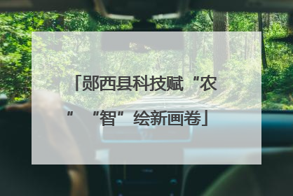 郧西县科技赋“农”“智”绘新画卷