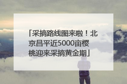 采摘路线图来啦！北京昌平近5000亩樱桃迎来采摘黄金期