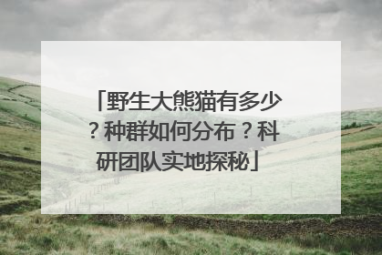 野生大熊猫有多少？种群如何分布？科研团队实地探秘