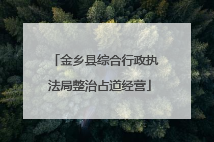 金乡县综合行政执法局整治占道经营
