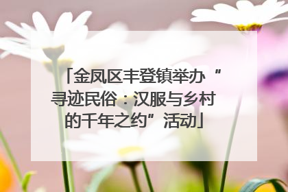 金凤区丰登镇举办“寻迹民俗：汉服与乡村的千年之约”活动