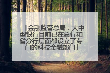 金融监管总局：大中型银行目前已在总行和省分行层面都设立了专门的科技金融部门