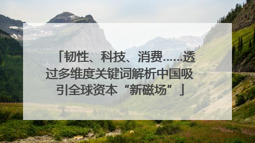 韧性、科技、消费……透过多维度关键词解析中国吸引全球资本“新磁场”