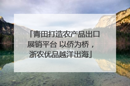 青田打造农产品出口展销平台 以侨为桥，浙农优品越洋出海