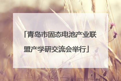青岛市固态电池产业联盟产学研交流会举行