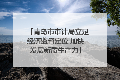 青岛市审计局立足经济监督定位 加快发展新质生产力