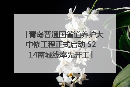 青岛普通国省道养护大中修工程正式启动 S214南城线率先开工