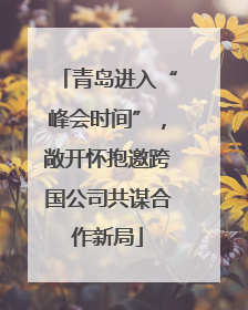 青岛进入“峰会时间”，敞开怀抱邀跨国公司共谋合作新局