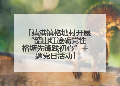 靖港镇格塘村开展“韶山红途砺党性 格塘先锋践初心”主题党日活动