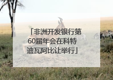 非洲开发银行第60届年会在科特迪瓦阿比让举行