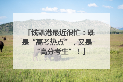钱凯港最近很忙：既是“高考热点”，又是“高分考生”！