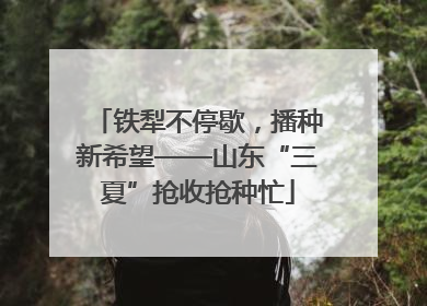 铁犁不停歇，播种新希望——山东“三夏”抢收抢种忙