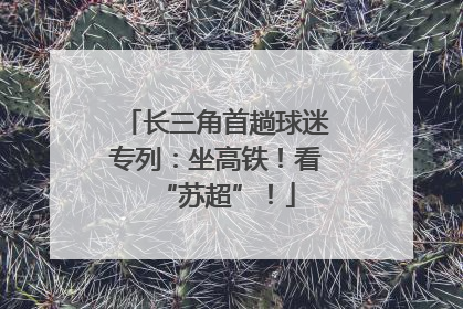 长三角首趟球迷专列：坐高铁！看“苏超”！