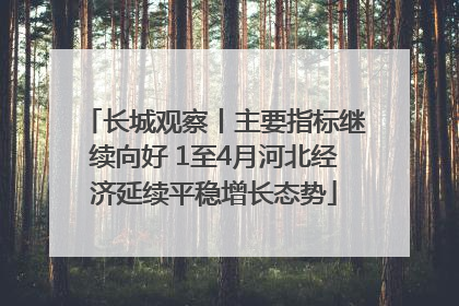 长城观察丨主要指标继续向好 1至4月河北经济延续平稳增长态势