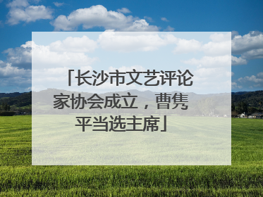 长沙市文艺评论家协会成立，曹隽平当选主席