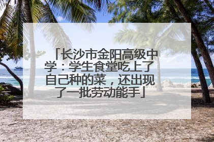 长沙市金阳高级中学：学生食堂吃上了自己种的菜，还出现了一批劳动能手
