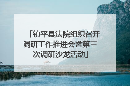 镇平县法院组织召开调研工作推进会暨第三次调研沙龙活动