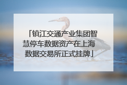 镇江交通产业集团智慧停车数据资产在上海数据交易所正式挂牌