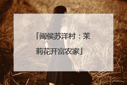 闽侯苏洋村：茉莉花开富农家