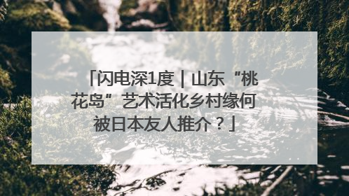 闪电深1度｜山东“桃花岛”艺术活化乡村缘何被日本友人推介？