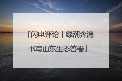 闪电评论丨绿潮奔涌 书写山东生态答卷