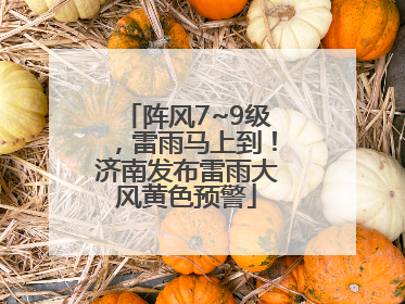 阵风7~9级，雷雨马上到！济南发布雷雨大风黄色预警