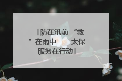 防在汛前 “救”在雨中——太保服务在行动