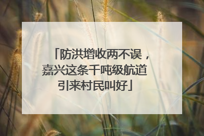 防洪增收两不误，嘉兴这条千吨级航道引来村民叫好