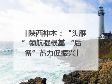 陕西神木：“头雁”领航强根基 “后备”蓄力促振兴