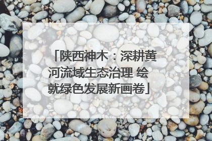 陕西神木：深耕黄河流域生态治理 绘就绿色发展新画卷