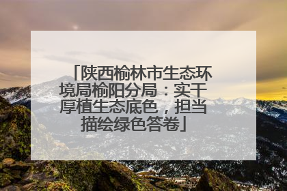 陕西榆林市生态环境局榆阳分局：实干厚植生态底色，担当描绘绿色答卷