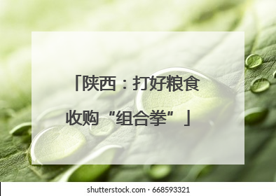陕西：打好粮食收购“组合拳”