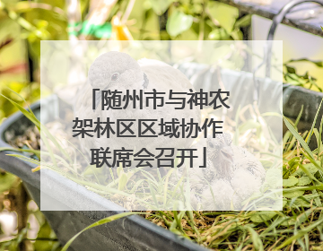 随州市与神农架林区区域协作联席会召开