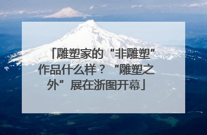 雕塑家的“非雕塑”作品什么样？“雕塑之外”展在浙图开幕
