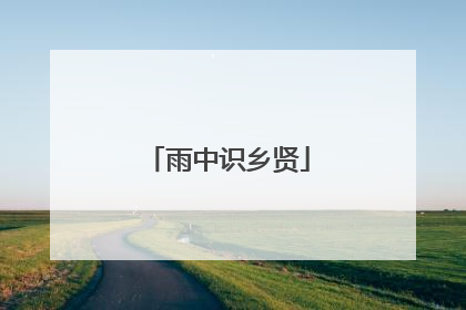 雨中识乡贤