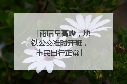 雨后早高峰，地铁公交准时开班，市民出行正常