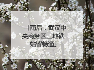 雨后，武汉中央商务区三地铁站皆畅通