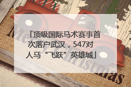 顶级国际马术赛事首次落户武汉，547对人马“飞跃”英雄城