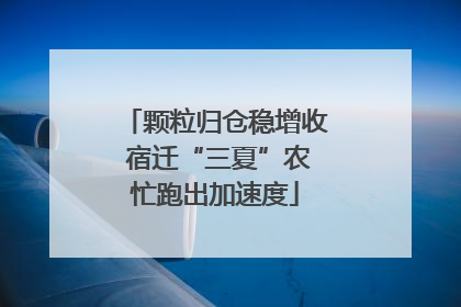 颗粒归仓稳增收 宿迁“三夏”农忙跑出加速度