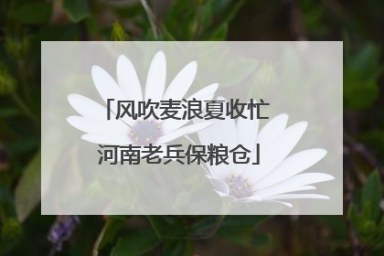 风吹麦浪夏收忙 河南老兵保粮仓