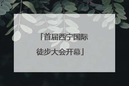 首届西宁国际徒步大会开幕