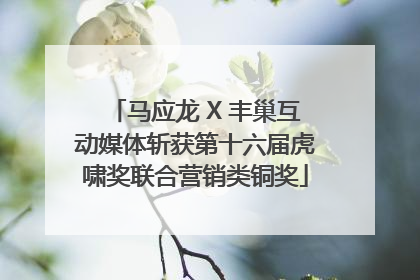 马应龙 X 丰巢互动媒体斩获第十六届虎啸奖联合营销类铜奖