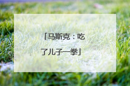 马斯克：吃了儿子一拳