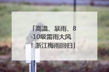 高温、暴雨、8-10级雷雨大风！浙江梅雨回归