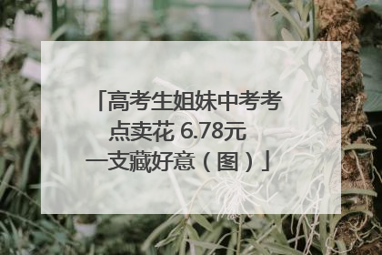 高考生姐妹中考考点卖花 6.78元一支藏好意（图）