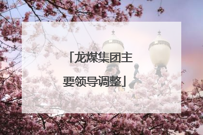 龙煤集团主要领导调整