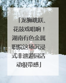 龙狮跳跃、花鼓戏唱响！湖南有色金属职院这场沉浸式非遗游园活动很带感